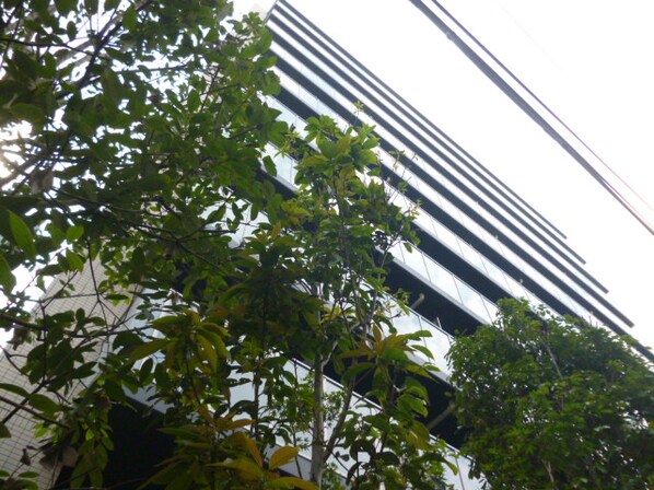 パークハビオ赤坂の物件内観写真